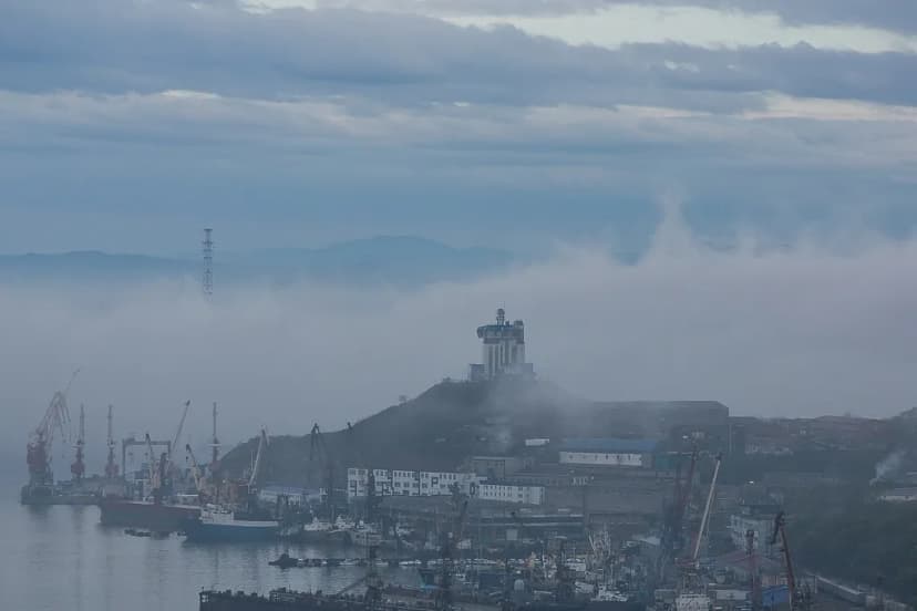 Жители Владивостока обозначили приоритеты обновления Генплана: зелёные зоны, умеренная застройка и защита исторической среды